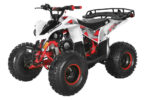 F125001_1024x1024