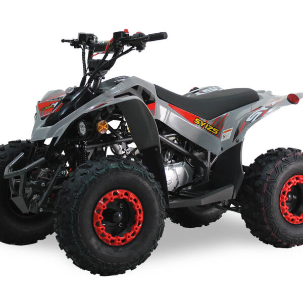 Icebear SYXMOTO Pro 125 SY ATV, 3-Speed Semi-Automatic with Reverse, 4-Stroke Air-Cooled Engine